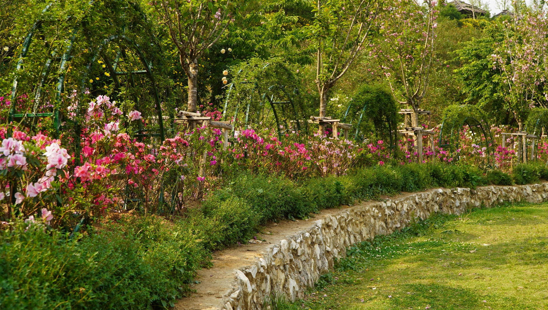 Chữa-lành-từ-thiên-nhiên